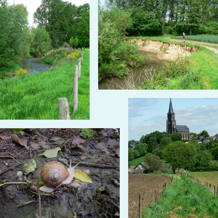 Gulp, ijsvogelwand, wijngaardslak, Vijlen in de verte