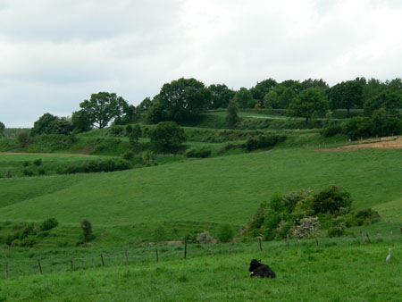 terrassen in het boerenland