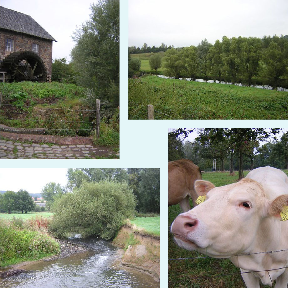 watermolen, de Geul, nieuwsgierig