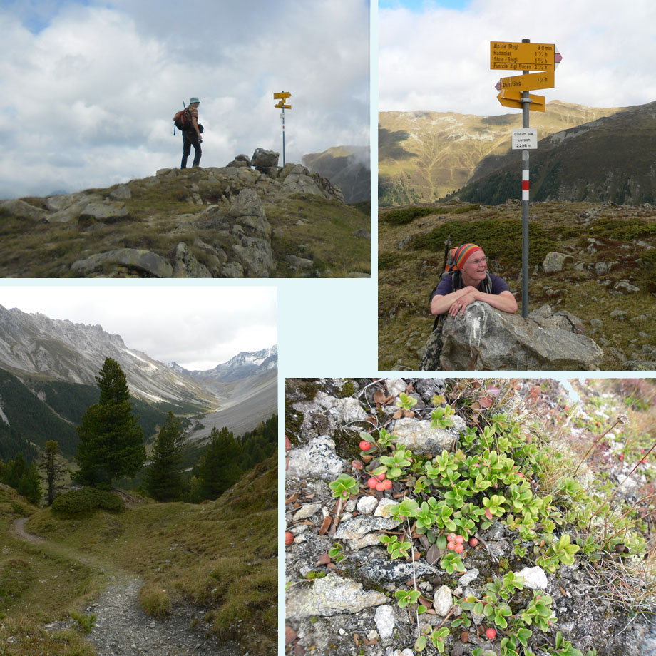 Hans, Fanny, naar beneden, bessen