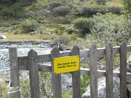 letzte Kuh ...