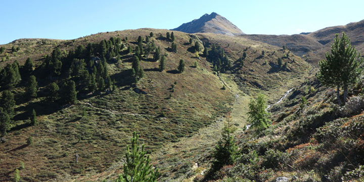 herfstkleuren in Val Tuors
