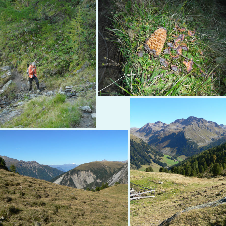 voorzichtig omhoog, knaagwerk, uitzicht bij Alp Muotta