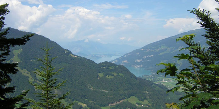 uitzicht op de Thunersee