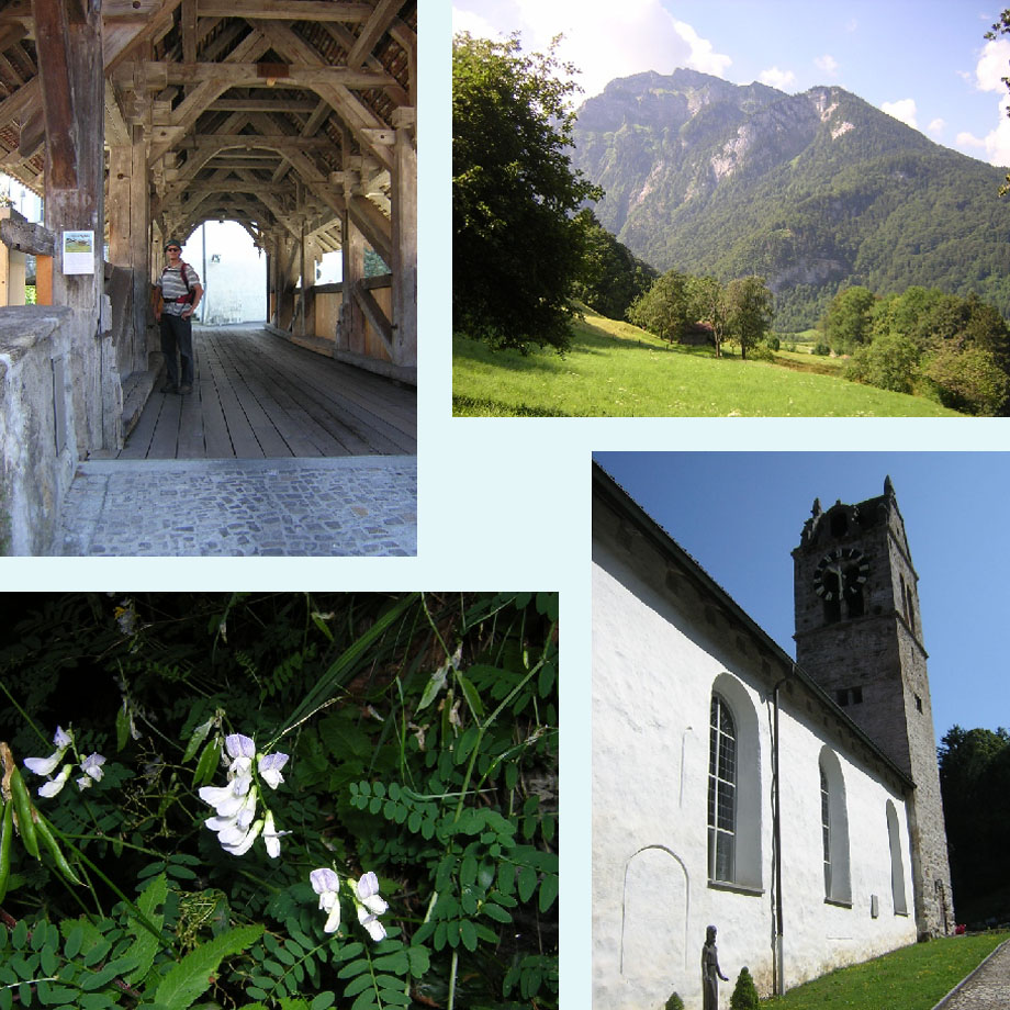 overdekte brug, bergen in zicht, mooie wikke, kerk van Gsteig