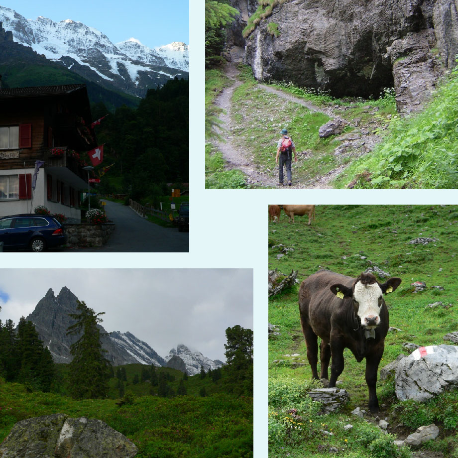 ochtendsfeer, hup omhoog, uitzicht, Busenalp