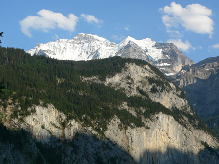uitzicht vanuit de tuin