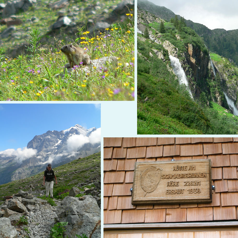 murmeltier, waterval, op pad, schild van de Schmadrihutte