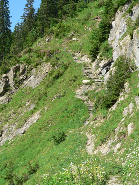 trappetje naar beneden