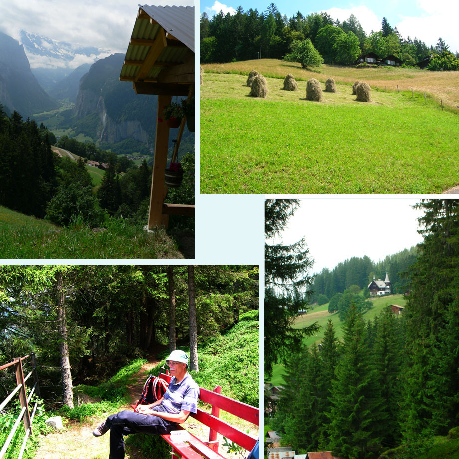 Wengwald, ouderwets gehooid, pauze op de Leiterhorn, apart chalet