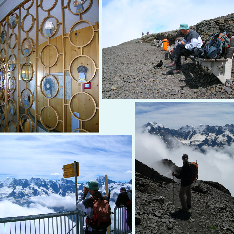 mineralenwand, alpenkauwen voeren, fotogeniek plekje