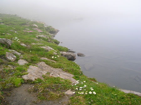 bijna onzichtbare Grausee