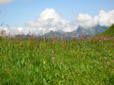 uitzicht bij Sausmatten