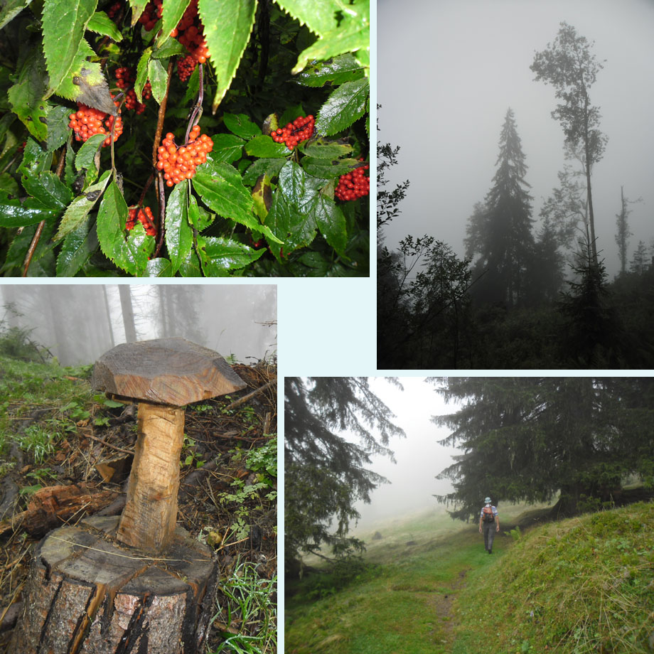 bergvlier, in de mist, net echt, nu nog droog