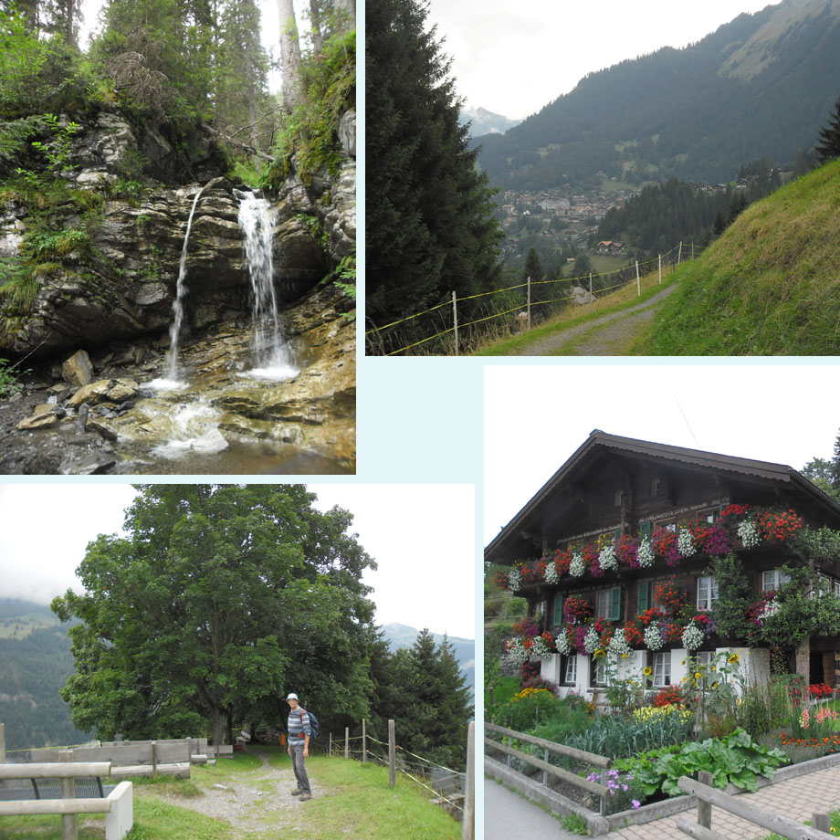 Hasenbach, Wengen in zicht, heel veel bankjes, heel veel bloemen