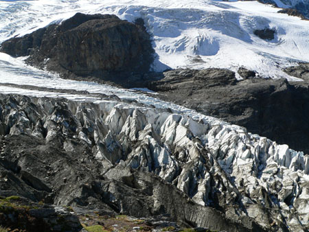 gletsjerijs