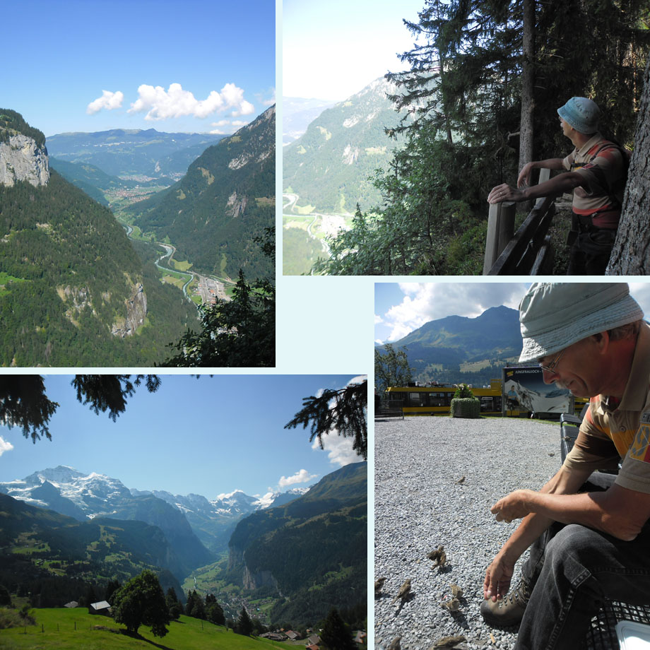 rond de Leiterhorn, hongerige mussen