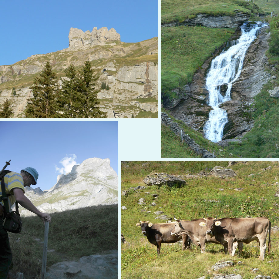 Lobhorner, waterval van de Sausbach, overstapje, schattige koeien