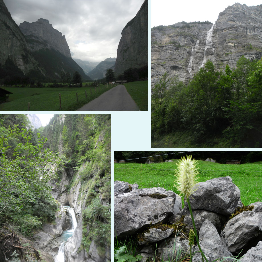 richting Stechelberg, altijd watervallen, witte rapunzel