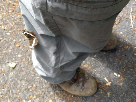 zomaar een kleine ijsvogelvlinder