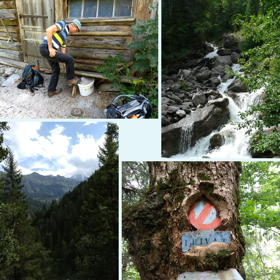 we zijn te zwaar ..., Sausbach, uitzicht op Wengen, groeizaam