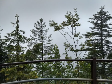 (geen) uitzicht op de Leiterhorn