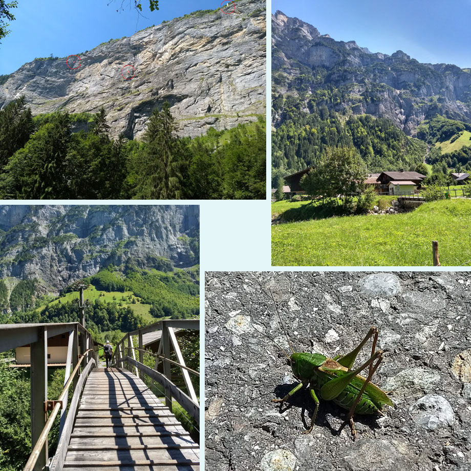 zoek de paragliders, vlakbij Stechelberg, brug over de Lutschine, stil blijven zitten