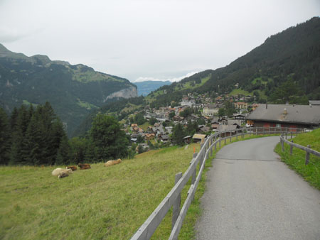nog even doorbijten tot Wengen