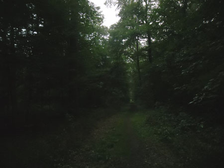 rustig in het ochtendlicht