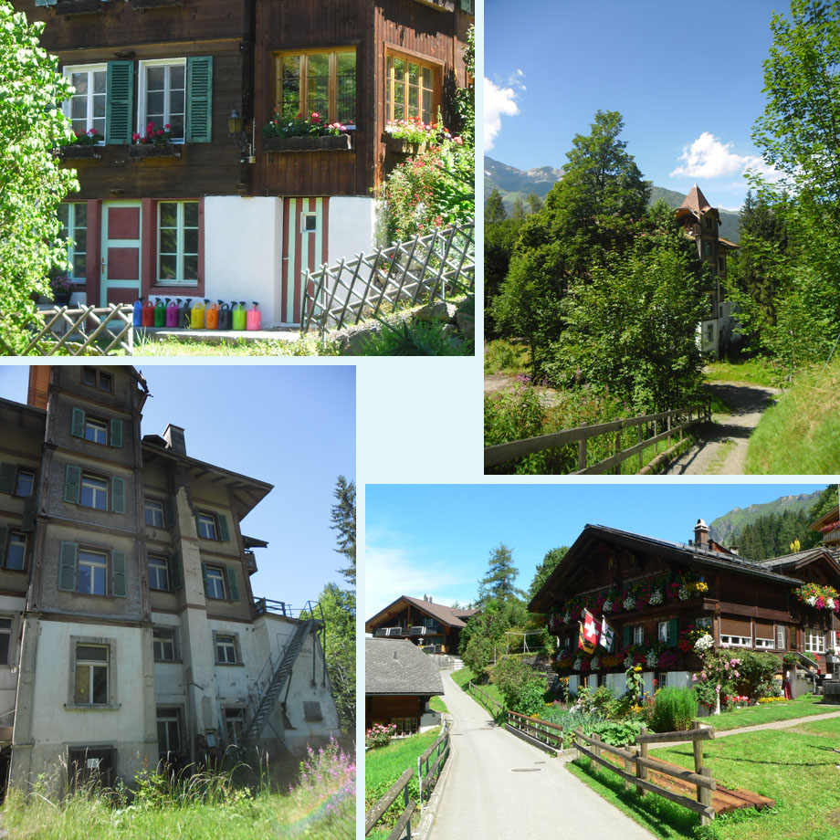 welke kleur mag vandaag, spookhotel, overvolle bloembakken