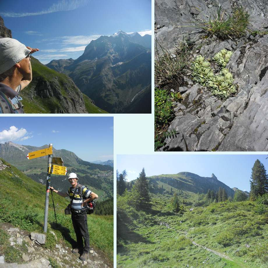 wat een uitzicht, leuk rotsplantje, tot hier en niet hoger, Hochmoor