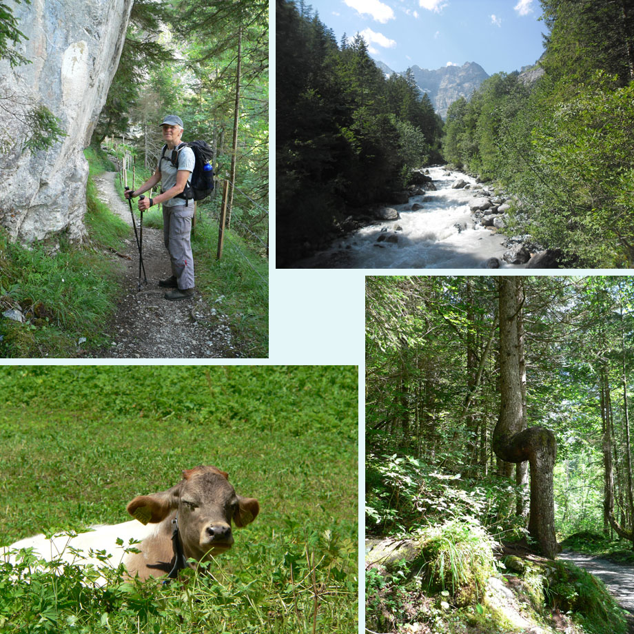 steile wand, de Sefinen Lutschine, lome koe, deze hebben we eerder gezien