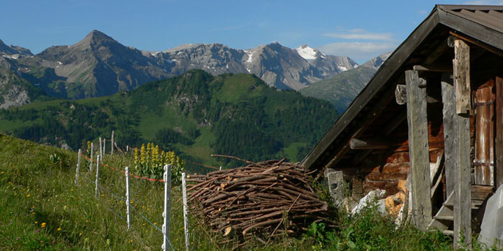 op weg naar de Metschhorn