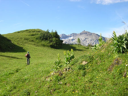 op pad naar de Metschhorn