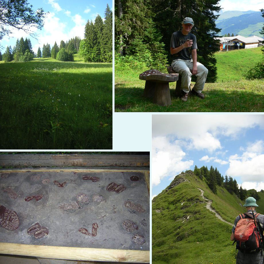 nat weitje, op een grote paddenstoel, sporen!, in de alpentuin