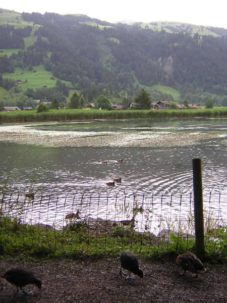 ja, wij willen ook wat!