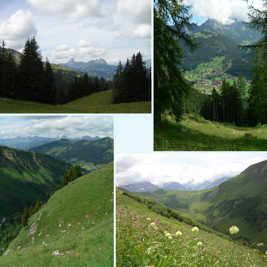 nieuw uitzicht, uitzicht op Simmental, uitzicht op Saanental, victorielook(?)