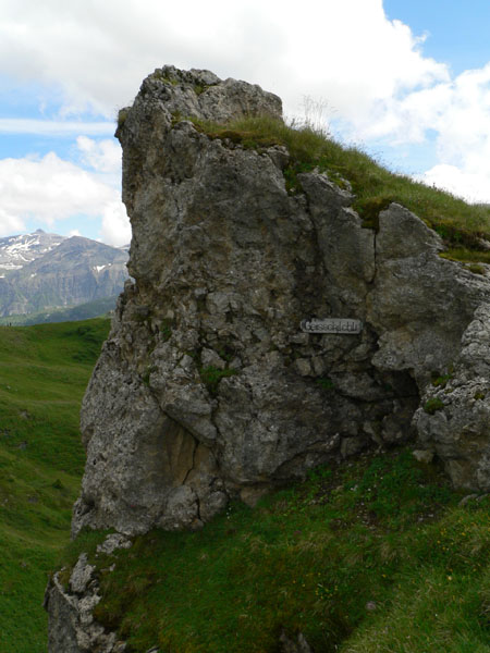 Tube, een gek piekje