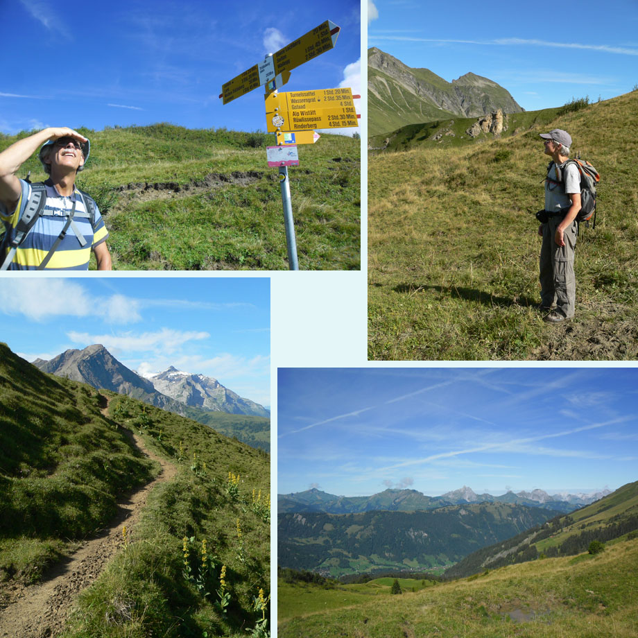 bij de Trutlisbergpass, uitzicht op de west-Alpen