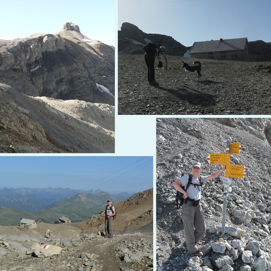 de Rohrbachstein komt dichterbij, huttenhond, Weisshornlucke