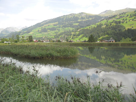 Lenkersee