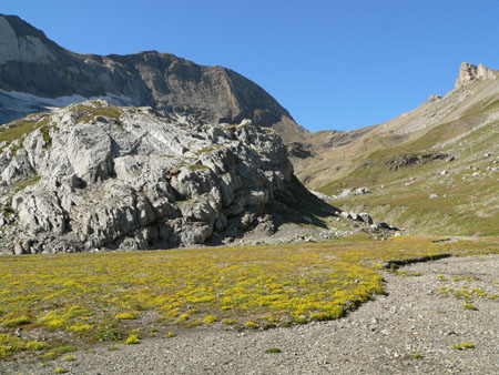 Tierbergsattel in zicht