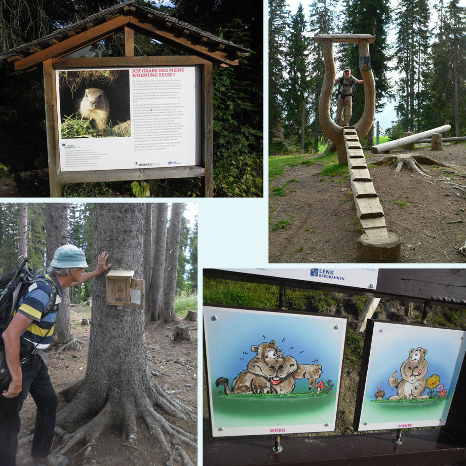 plezier op het Murmeli-Trail