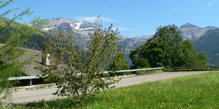 uitzicht vanaf ons terras