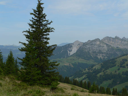 zicht op het Simmental