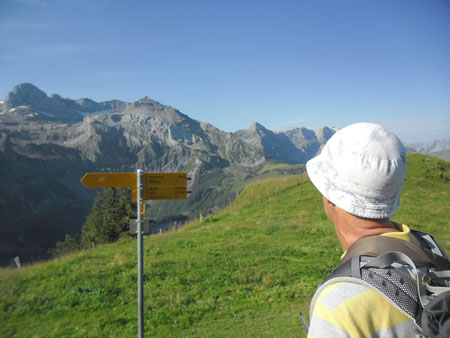 op weg naar Metschstand