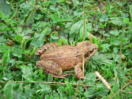 eens een ander(e) pad