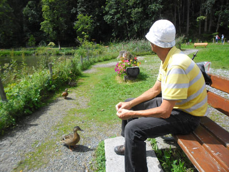 de eendjes lusten wel wat