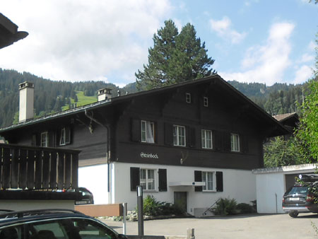 appartement Steinbock