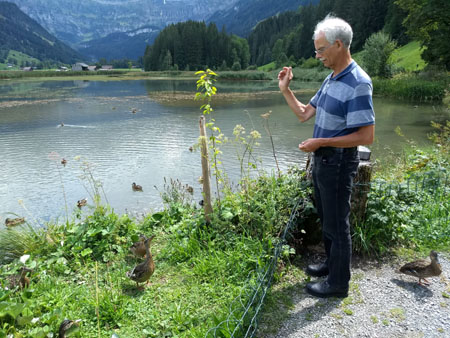 nog maar eens eendjes voeren